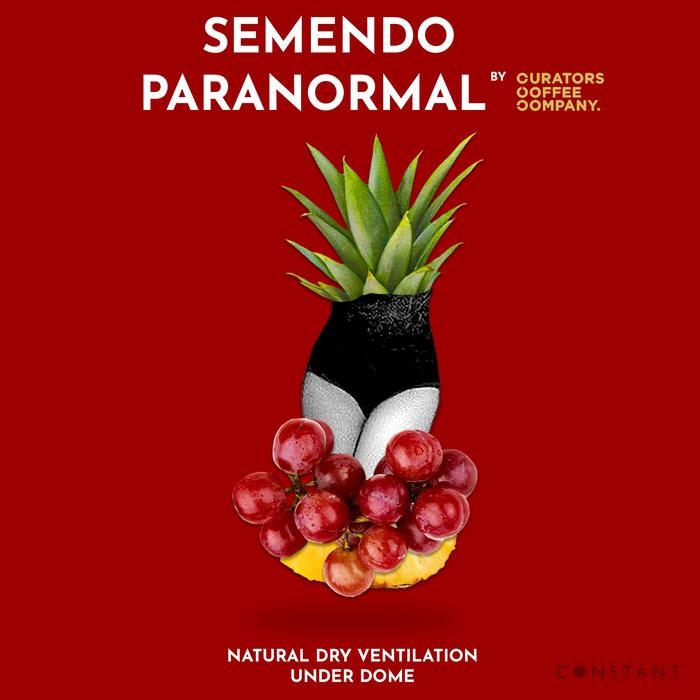 

SALE !!! BIJI KOPI SPECIALTY SEMENDO PARANORMAL - CONSTANT BEANS READYY