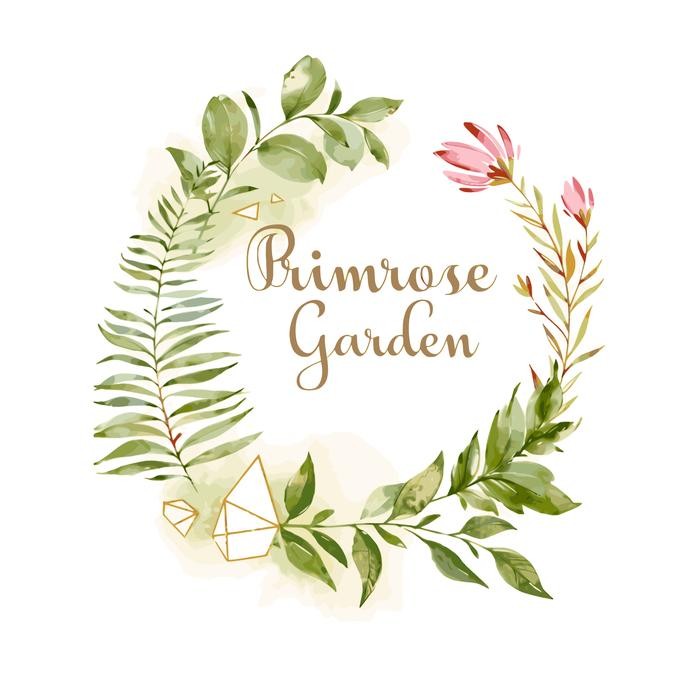 Paket Tray pot 6 lubang dengan 6 pot nkt bening