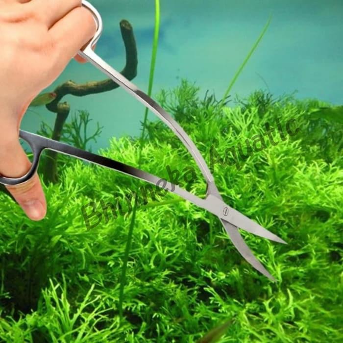 

Wave Scissors / Gunting Gelombang/Ombak untuk Aquascape