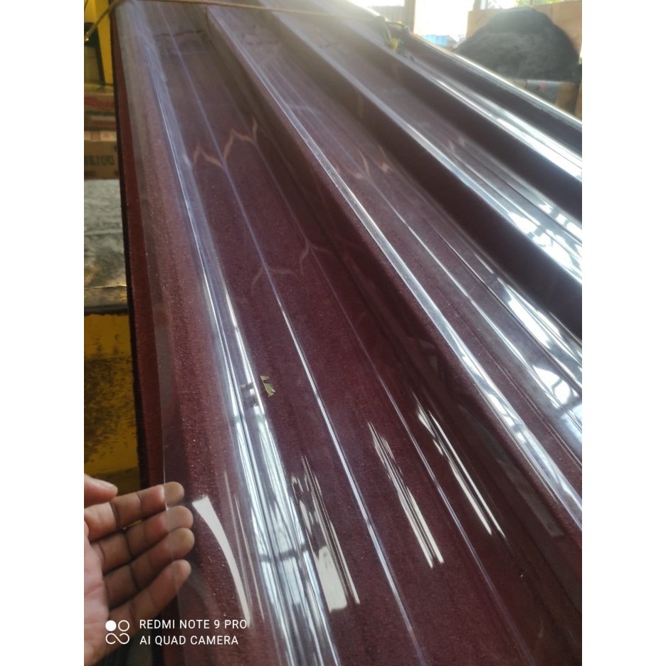 Executive Spandek Transparan Bening