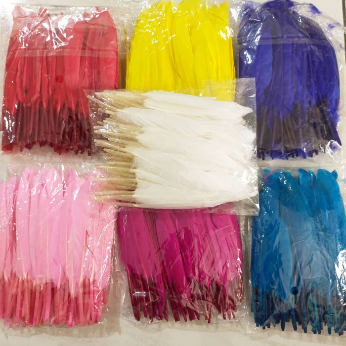 Bulu ayam betina isi 100 - bulu ayam - bulu bebek - bulu angsa - Bulu