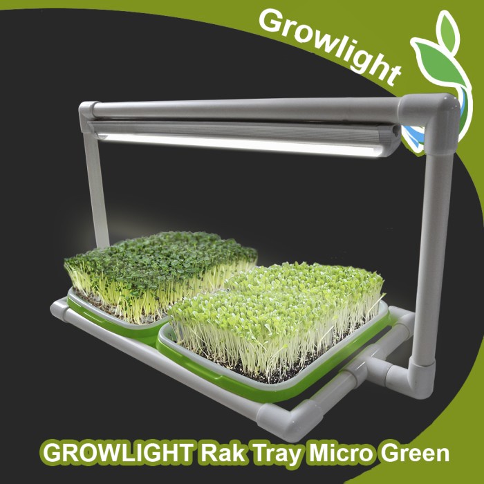 PROMO Mini Kit GROWLIGHT TRAY MICROGREENS 2 Tray