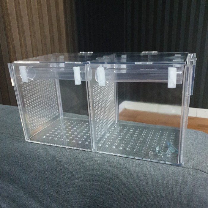 Box Kotak Akrilik Acrylic Karantina / Aklimasi Ikan Uk. P 30 L 13 T 15