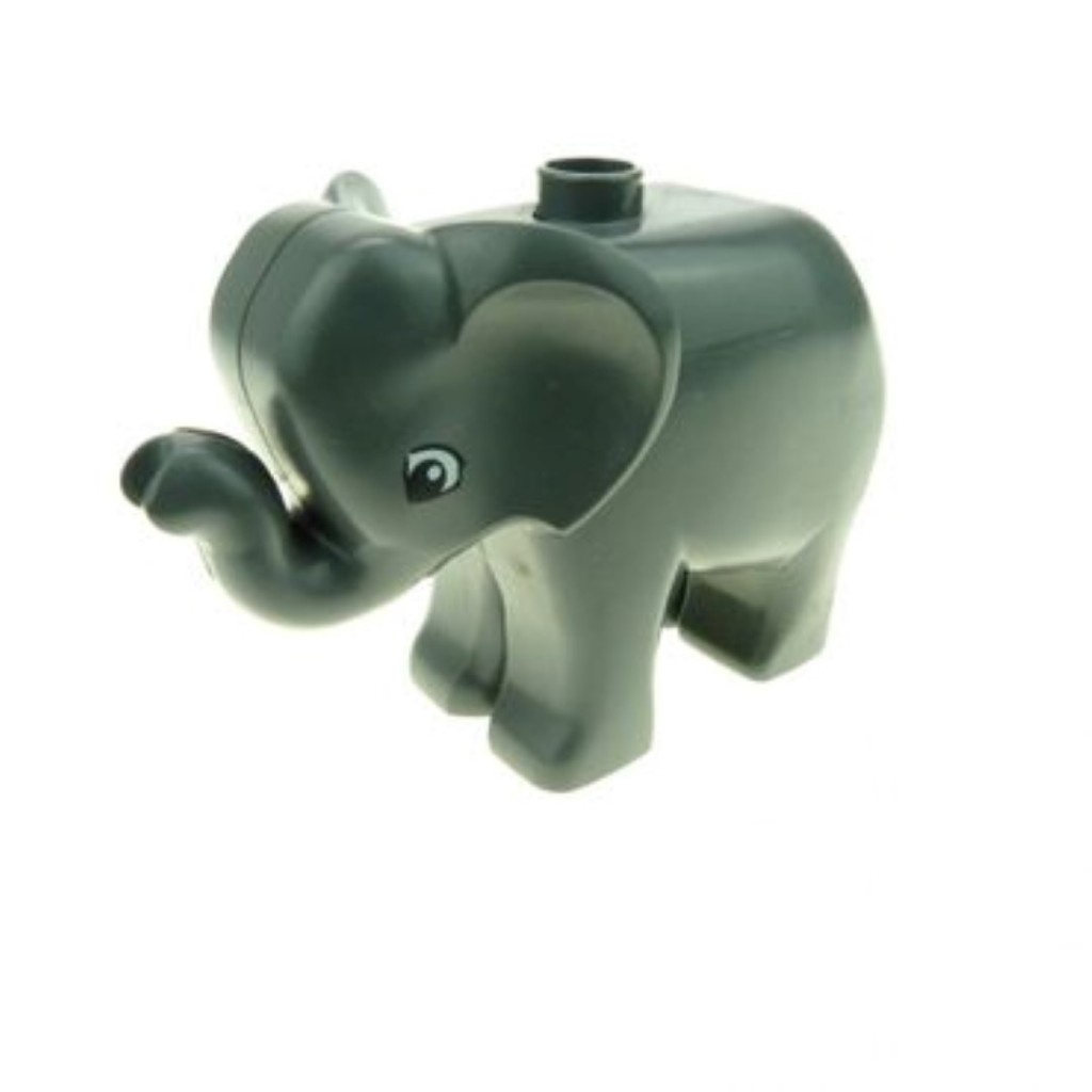 Madagascar Elephant Gajah Africa Zoo Duplo 6156