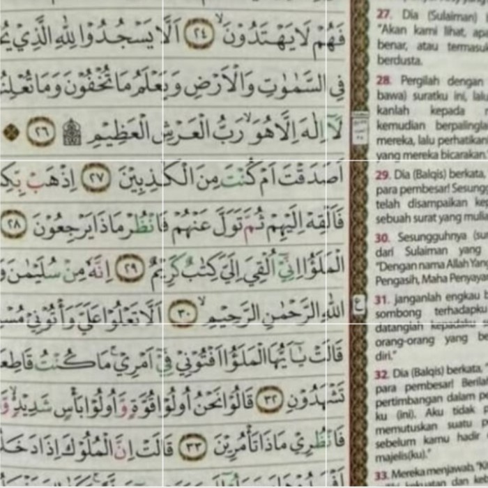AL QURAN AL QAHIRA A4 TERJEMAH TAJWID WARNA-AL QUR'AN AL-QAHIRA A4 KODE 627