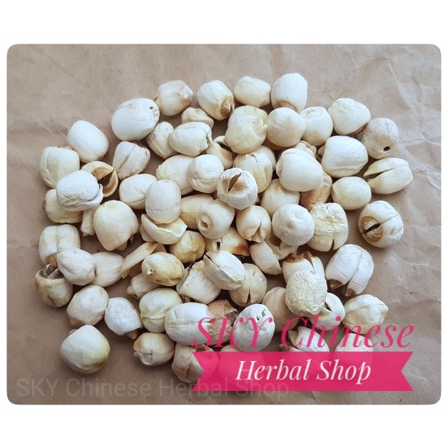 

Termurah (1 KG) Biji Teratai Preum HK / White Lotus Seed / Lian Zhi Besar AAA