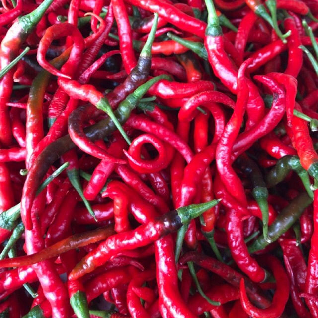 

Cabe/Cabai Merah Kerting Fress Berat 1 Kg Termurah