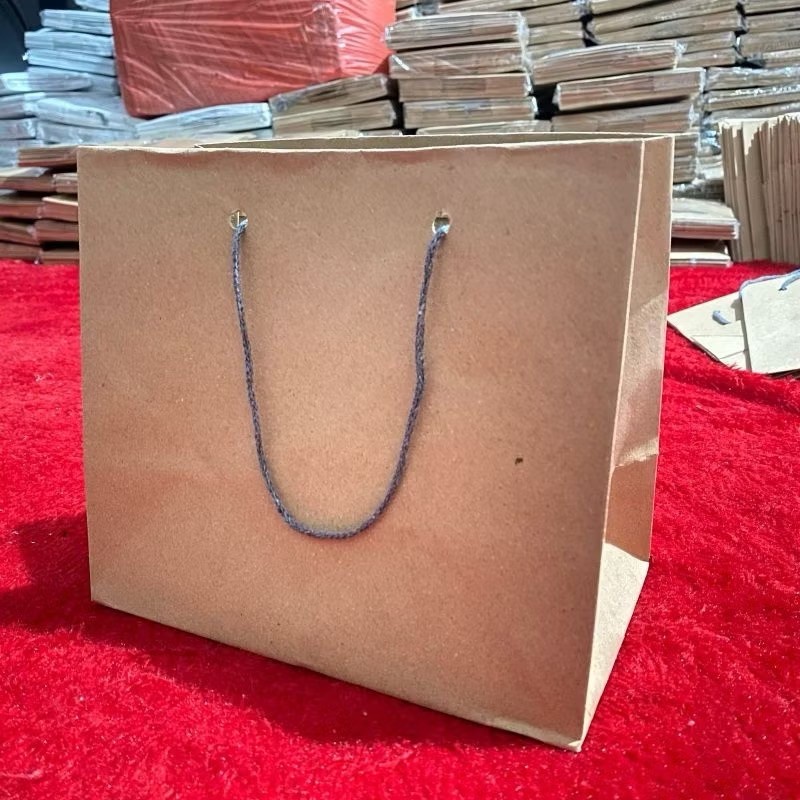 

Paper Bag Coklat Polos Ukuran 22x12x18 (paket 12pcs) |Tas Kertas |Tas kado |Tas Souvenir |Paperbag Hampers