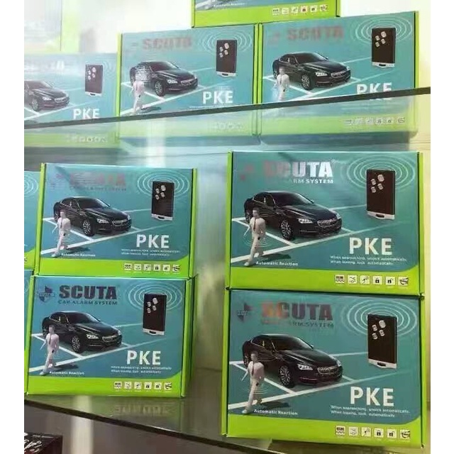 Alarm Mobil Universal Keyless Asli 100%