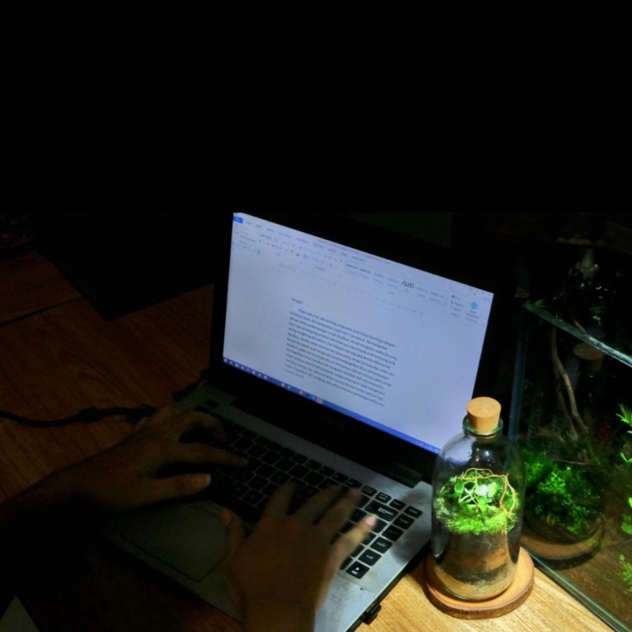 Terlaris TERARIUM BOTOL KIT TERRARIUM KIT BOTTLE 100 - 500 ML HIASAN KAMAR AESTHETIC Beli Sekarang