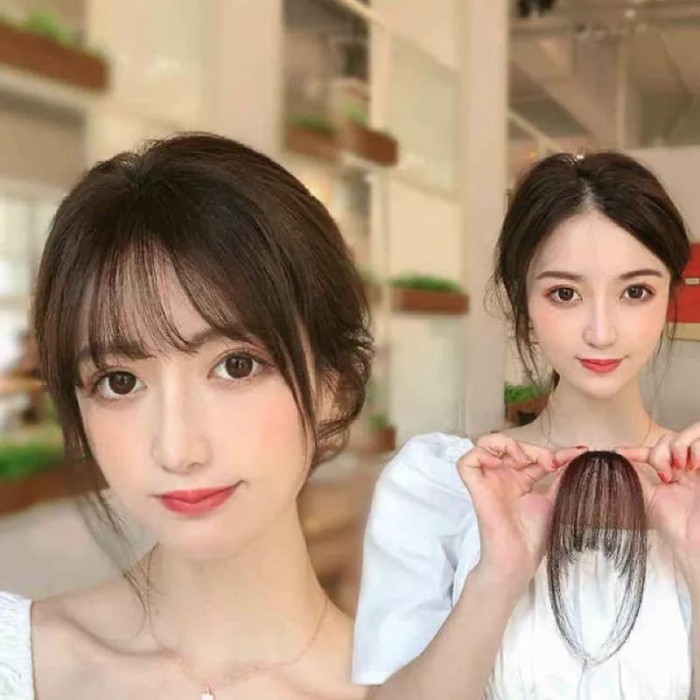 hairclip poni depan Poni palsu poni depan korea poni clip poni palsu /