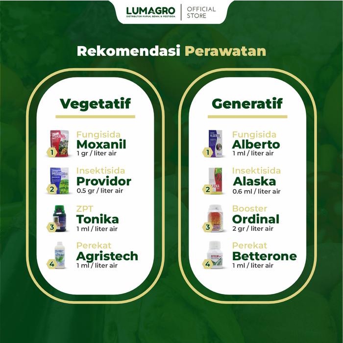 New Benih Jagung Pioneer P40 Famili P27 Lumigen Gajah P21 Bison P32 Singa 1Kg Bibit Unggul Hibrida