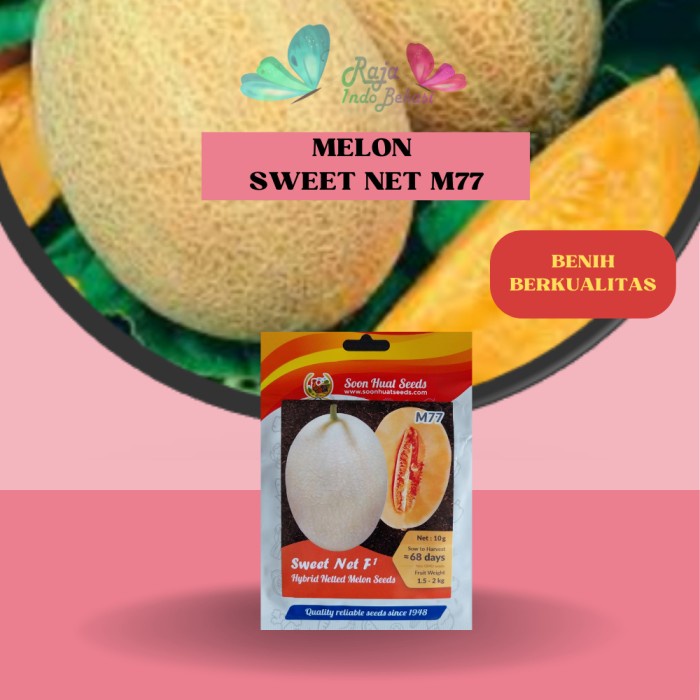 New Isi 10 Gram Biji Benih Melon Sweet Net F1 M77 - Ori Bibit Melon Premium Sweet Net Manis Soon