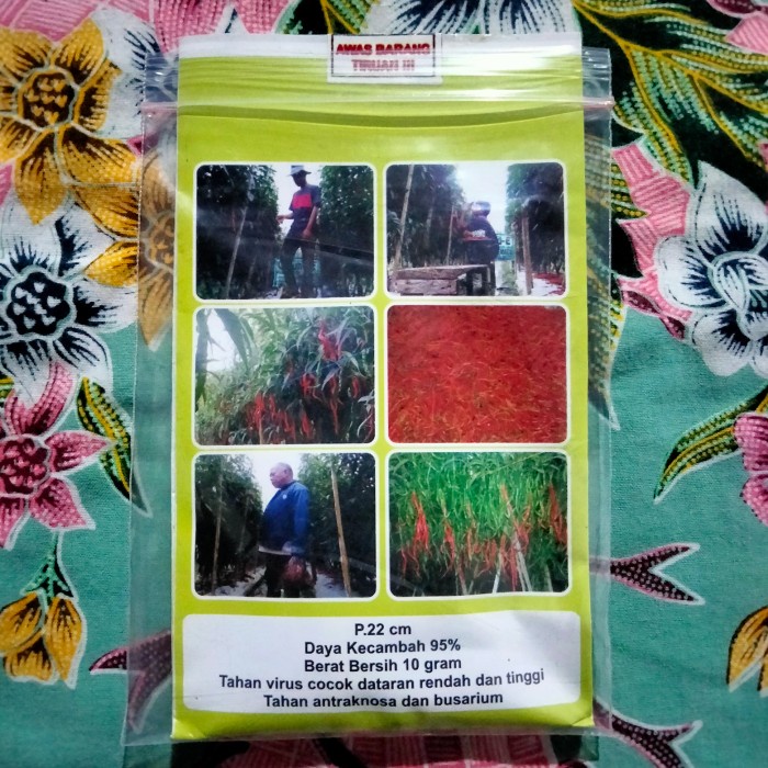 New Bibit Cabe Awe Aceh 10Gr - Benih Cabe Merah Keriting Awe Aceh- Cmk Awe Ready