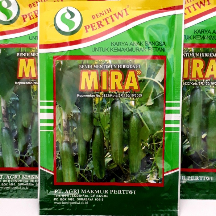New Mira F1 Benih Bibit Timun Mentimun Pertiwi Tahan Virus Ready
