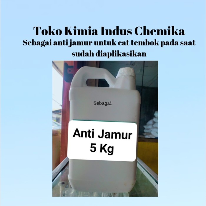 Anti Jamur Cat Tembok 5 Kg