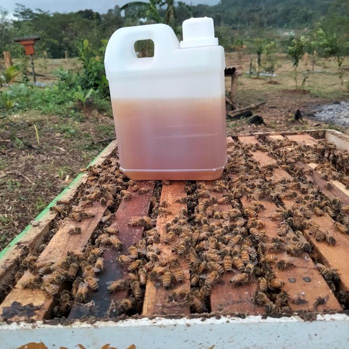 

Madu Multiflora Super 1kg - Madu Murni Raw Honey