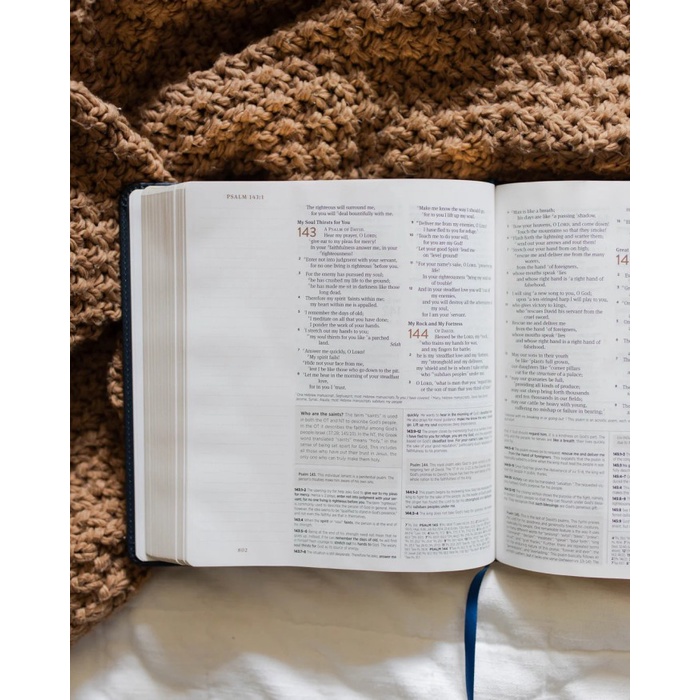 ESV JOURNALING STUDY BIBLE, SOFT COVER, HOLY BIBLE-ALKITAB DAILY GRACE