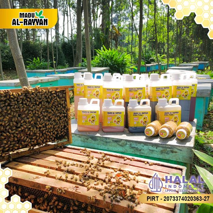 

MADU AL-RAYYAN MADU MURNI 1KG RAW HONEY FRESH PANEN TERLARIS