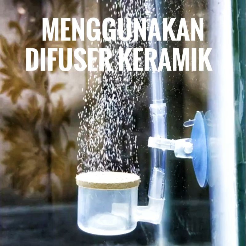 Sale Co2 Aquascape C02 Cisod Diy Aquascape Co2 Siap Pakai Full Set Botol Bulat 500 Ml