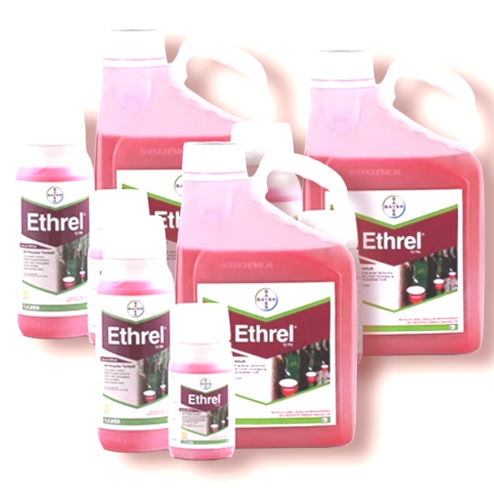 pengatur tumbuh Tanaman Karet ZPT Ethrel 10 PA kemasan 5 liter