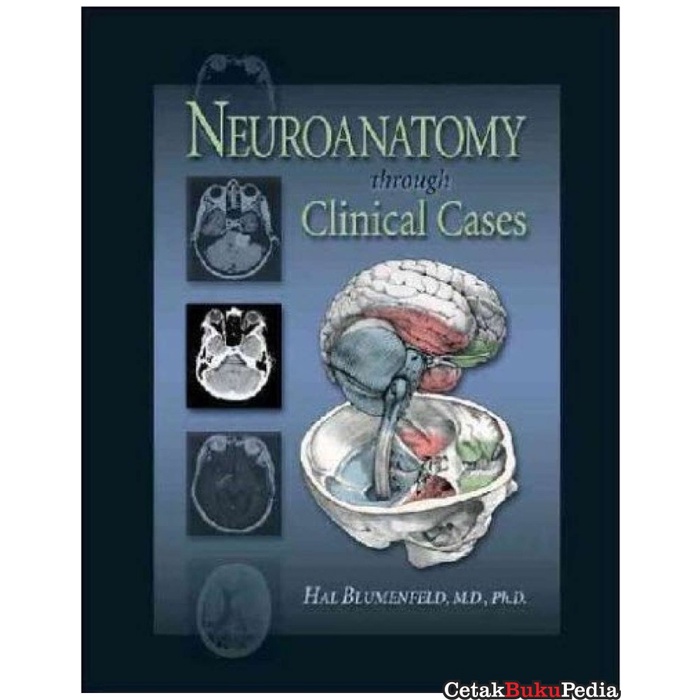 book Neuroanatomy Through Clinical Cases softcover