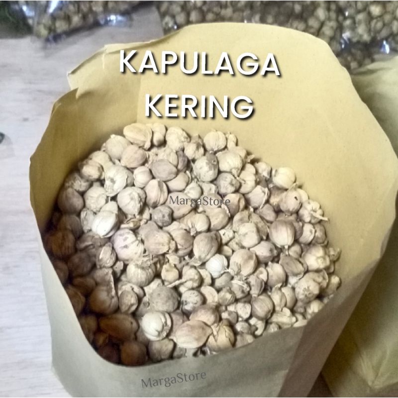 Kapulaga 1kg Kapolaga Kapulaga Jawa