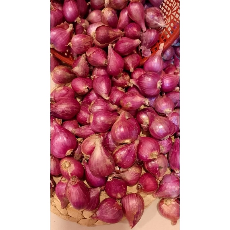 

bawang Brebes ukuran sedang 1 kg