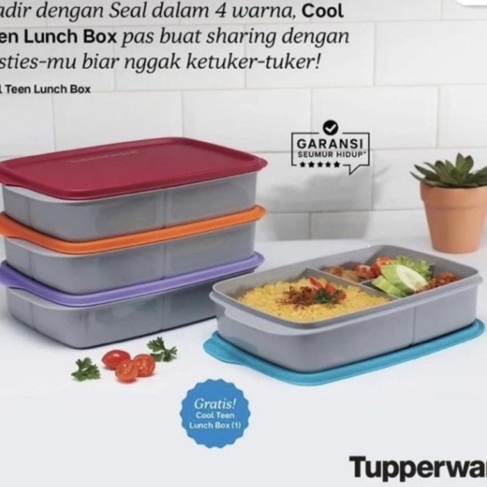 PROMO kotak makan Tupperware cool ten