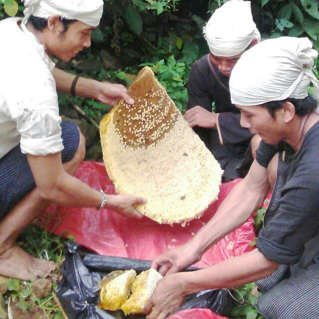 

BARANG TERLARIS MADU HITAM PAHIT "LEBAH LIAR BADUY" 1 Kg