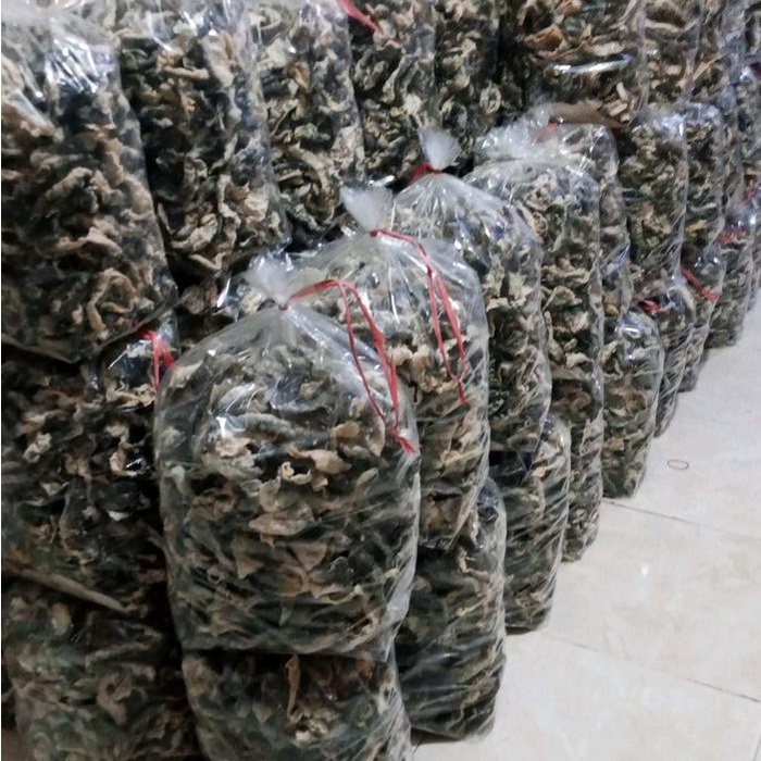 

KERIPIK KULIT IKAN PATIN ORIGINAL 500 GR.kerupuk kulit ikan patin,gurih