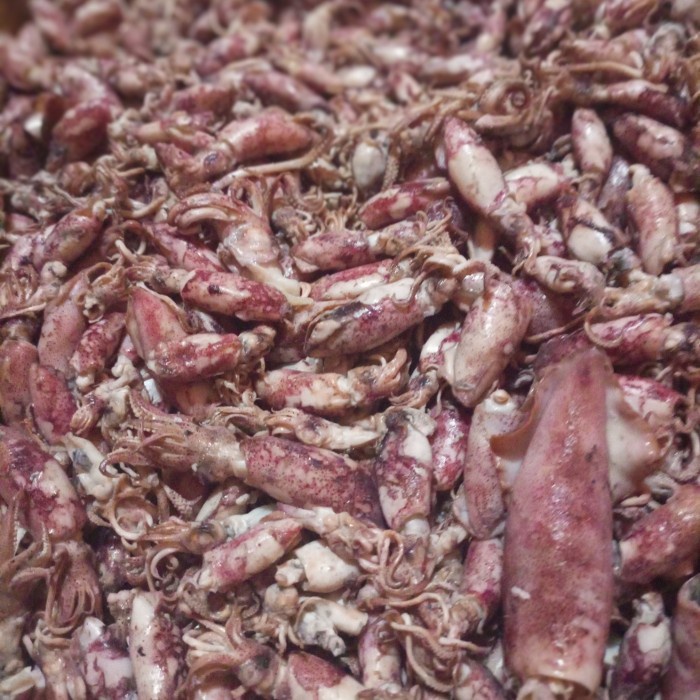 

SALE !!! CUMI ASIN 1KG READYY