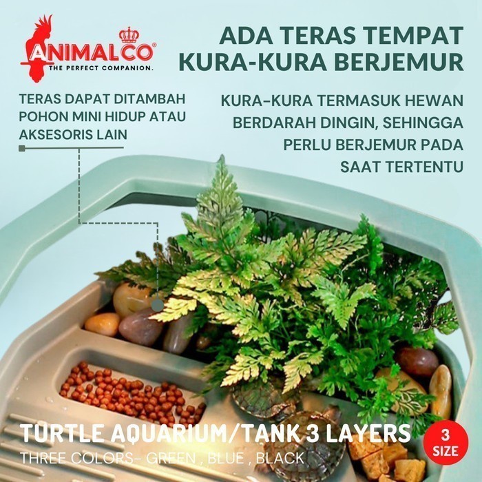 TURTLE TANK TEMPAT KANDANG AKUARIUM AQUARIUM RUMAH BAK KURA AIR BRAZIL