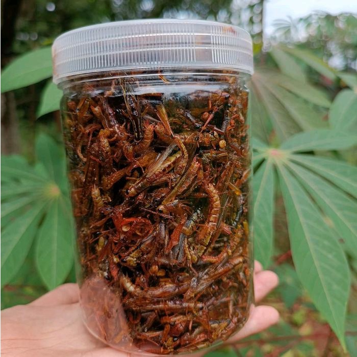 

Belalang kecil kemasan 175-200gram