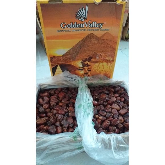 

KURMA GOLDEN VALEEY madu mesir premium 10kg KMASAN DUS BOX kurma oleh oleh haji dan umroh kurma