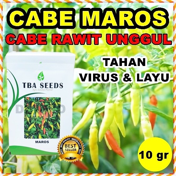 ADT- Benih Cabe Maros Bibit Cabai Rawit Unggul 10 Gram TBA Seed