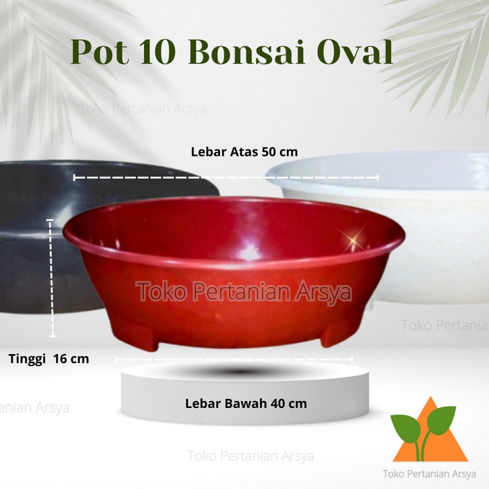 ADT- POT BONSAI OVAL 10 UKURAN 50CM