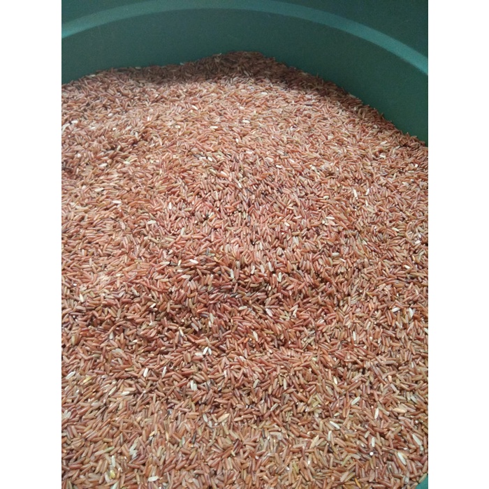 

HJK Beras Merah Pulen Kualitas Super (per1Liter)