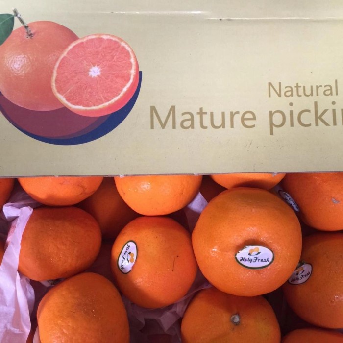 

HJK Jeruk Wokam Mandarin Wokam Sweet Mature Picking