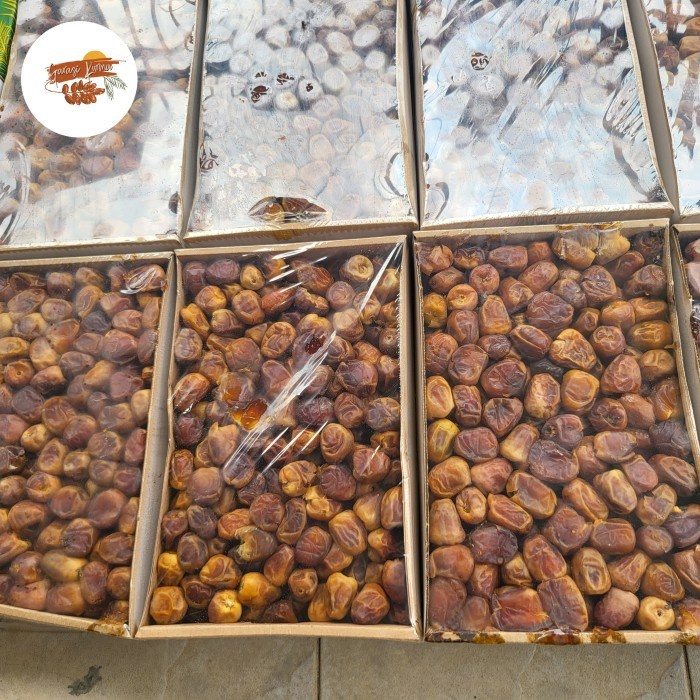 

HJK Kurma Sukari 3kg Alqassim Premium Organik / Kurma Sukari Basah