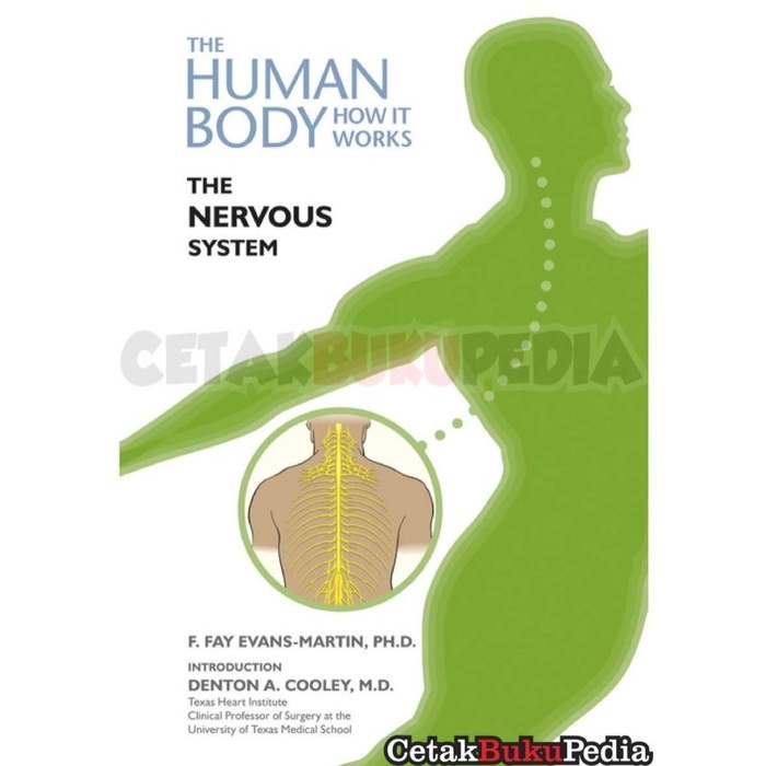 Buku Nervous System Human Body How It Works