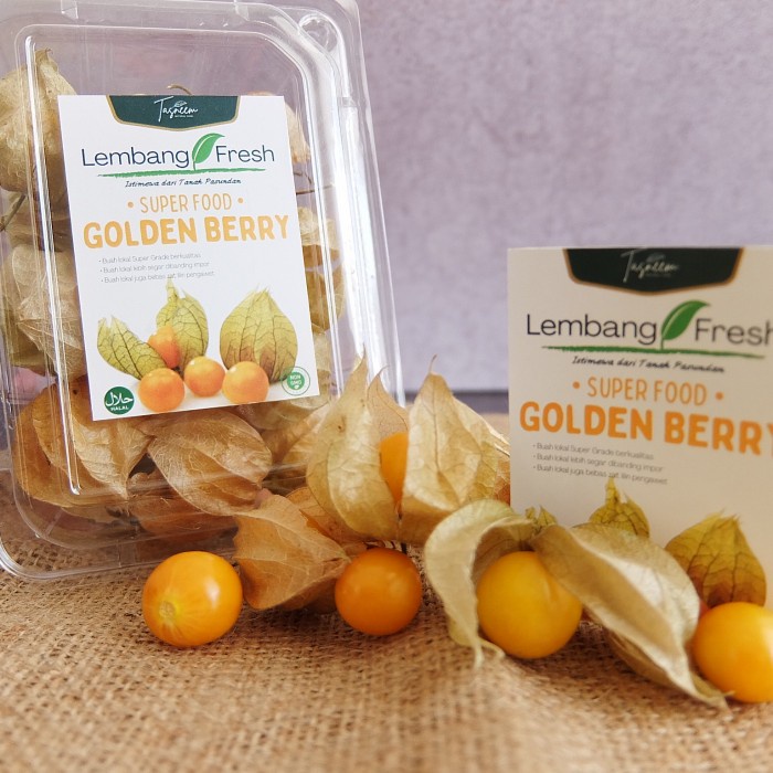 HJK Buah Golden Berry Ciplukan Segar Cecenet Ceplukan Fresh Bandung