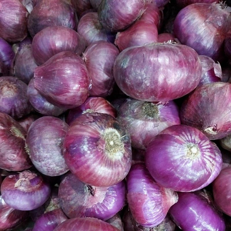 

BAWANG MERAH PEKING FRESH 1 KG