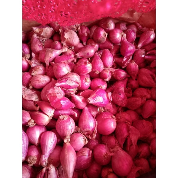 

BAWANG MERAH SUPER / PILIHAN PER KG