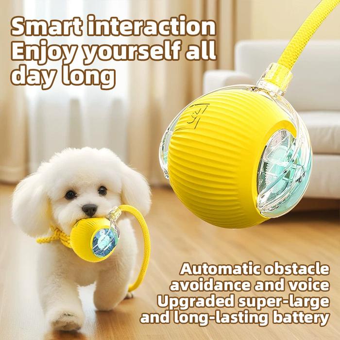 Mainan Elektrik Interaktif Anjing Dan Kucing Dengan Bola Bergolek Automatik Dan Ekor Palsu