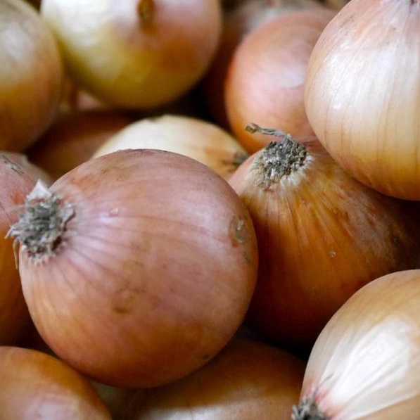 

[DAPUR EXPRESS] Bawang Bombay