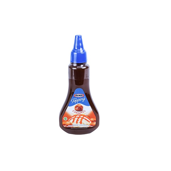 

MORIN TOPPING CARAMEL 310GR