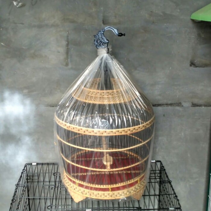 Kandang burung Tekukur plus karpet gantungan tebal makan dan num DiskonJual MurahHarga DiskonObral