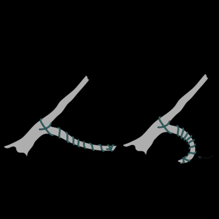 Kawat Bonsai Pembentuk Pohon Bonsai Lilit Melingkar Tekuk