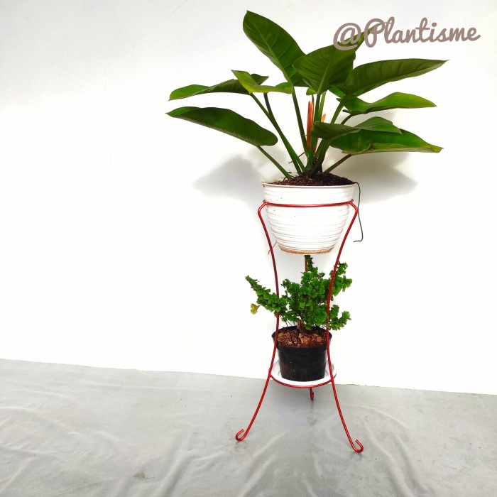 (D.50 T.20 - T.50)Cm - Rak Diamond Standing Pot Tanaman Besar Berat